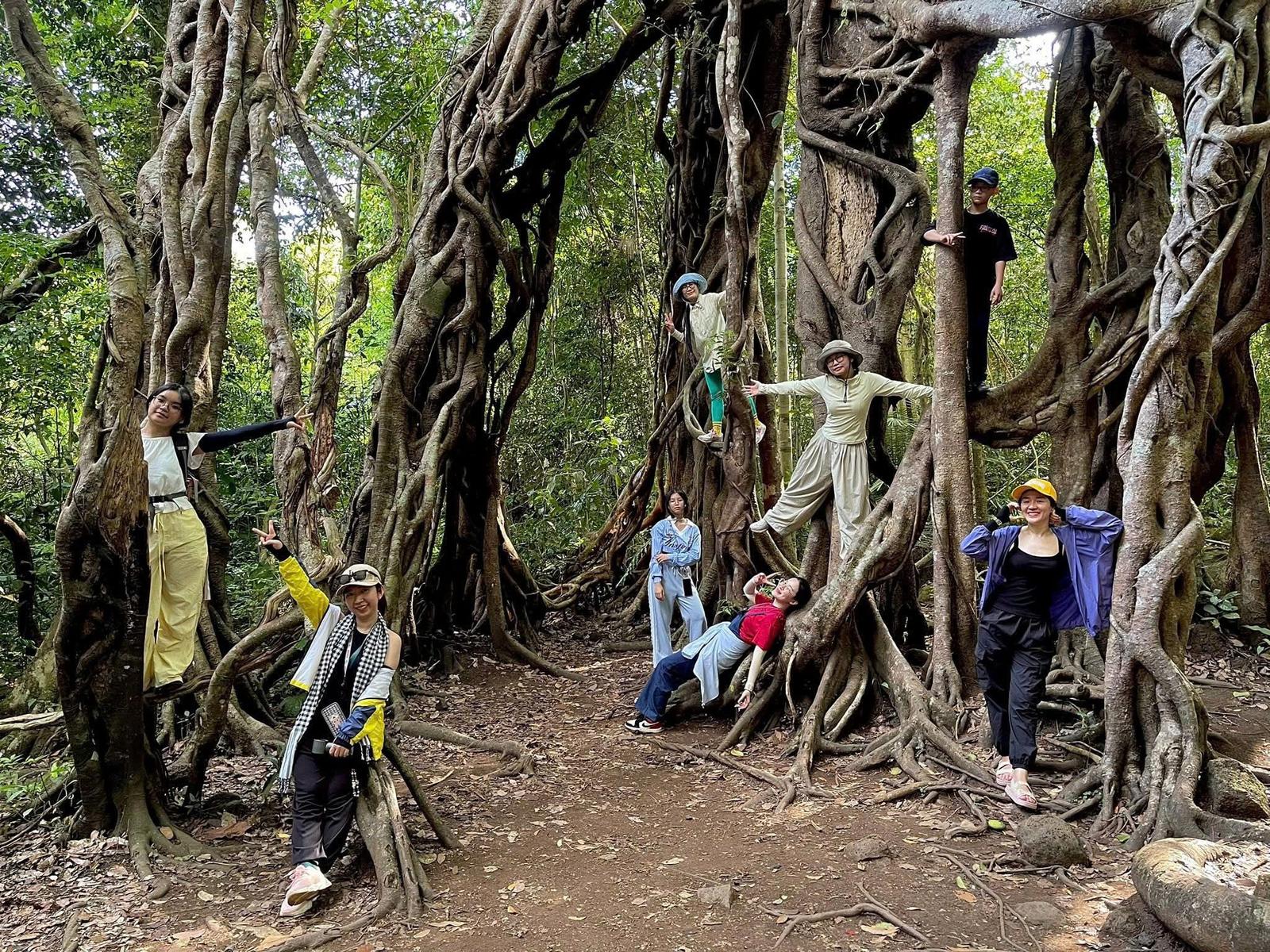 Trekking & Cycling Through Old Forests (2)